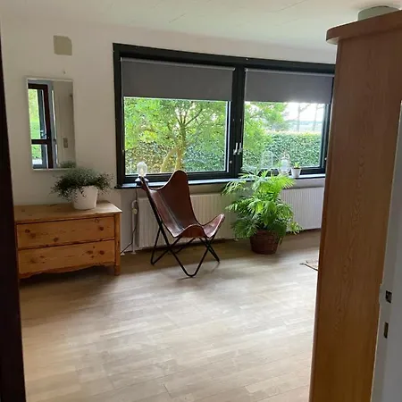 Toghale *